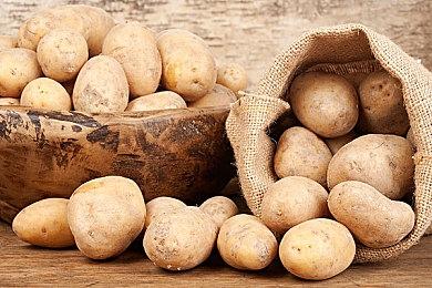 恋爱文字冒险《不可逾越的红花～双月～》Nintendo SwitchTM版发售日决定